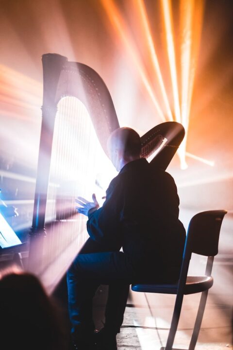 man sitting on chair playing harp