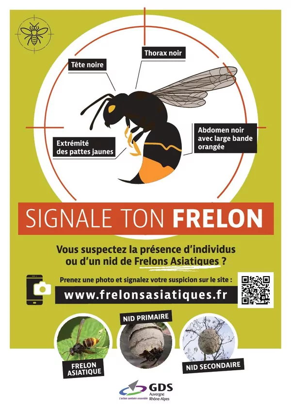 Image du document Flyer plateforme signalement nids